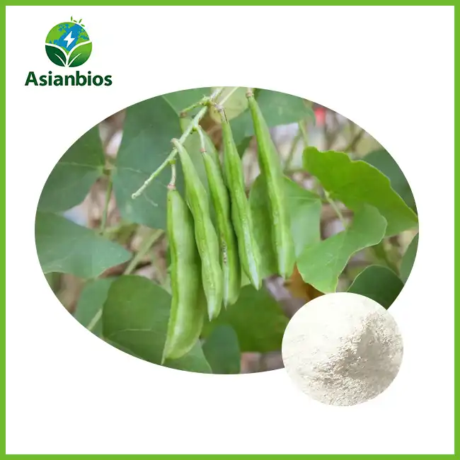 White Hyacinth Bean Powder White Hyacinth Bean Powder